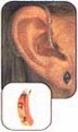 Behind The Ear Hearing Aids